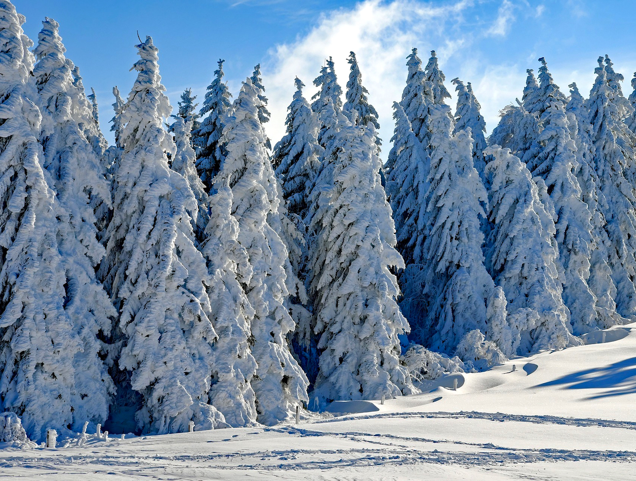 RAQUETAS EN EL TRENTINO (Italia)