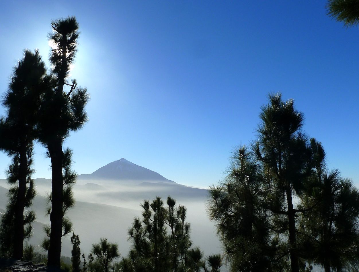 TENERIFE (Canarias)